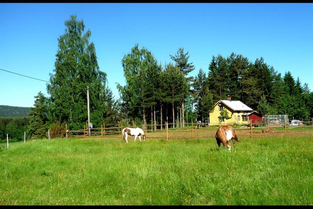 Little Forest House "Our Little Farm" Ekshärad Eksteriør bilde