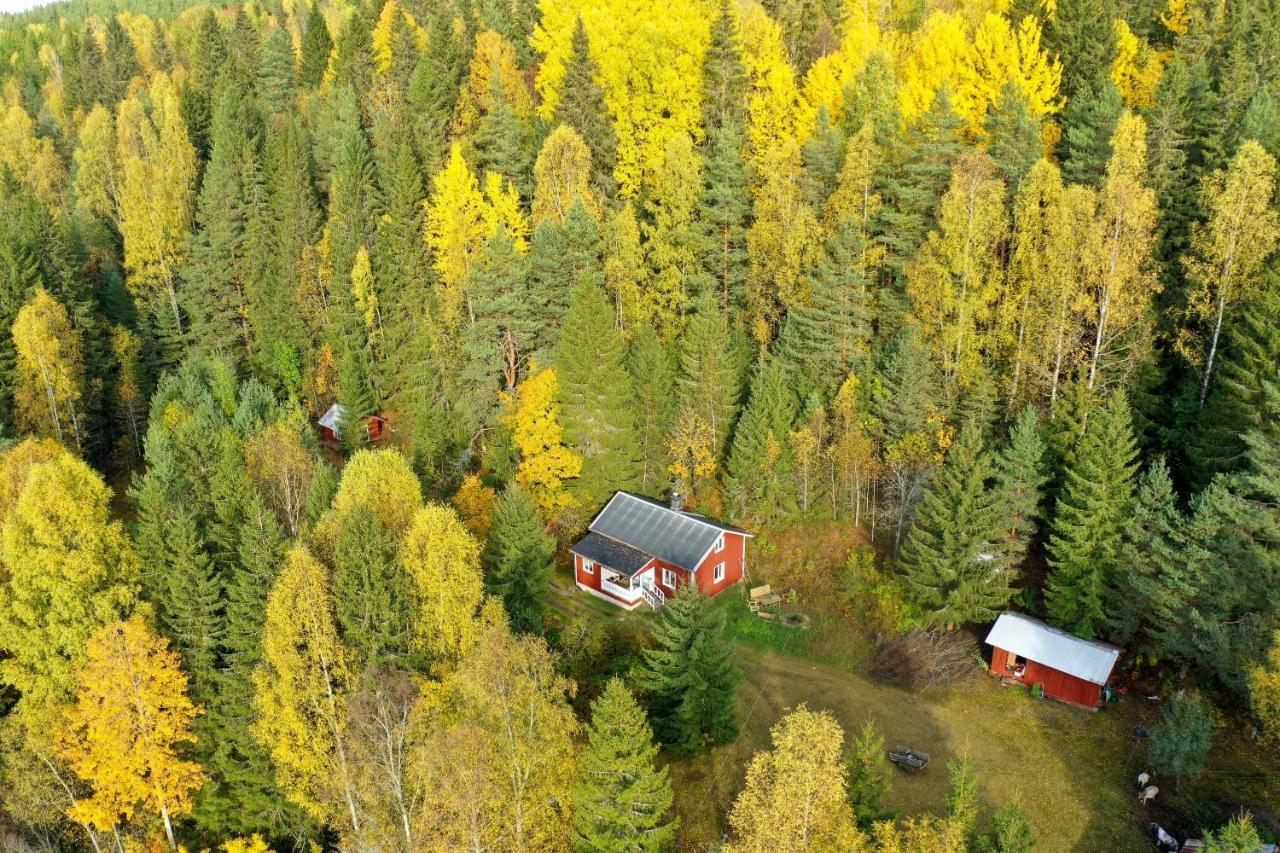 Little Forest House "Our Little Farm" Ekshärad Eksteriør bilde